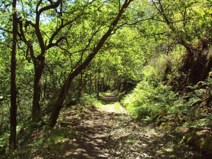 Albergue Valle Del Nonaya Salas  Εξωτερικό φωτογραφία